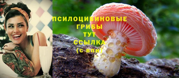 сатива Абаза