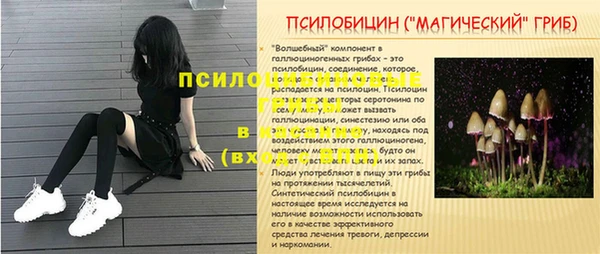 не бодяженный Гатчина