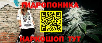 2c-b Краснознаменск