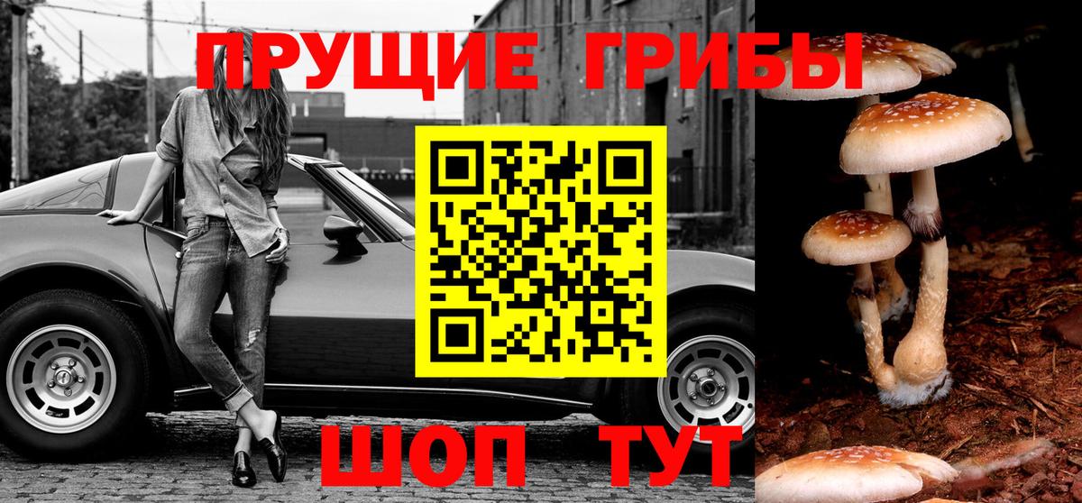 МЕФ   ГАШ  КОКАИН  Елизово  Вход с VPN  НБОМе  Купить  Канабис 