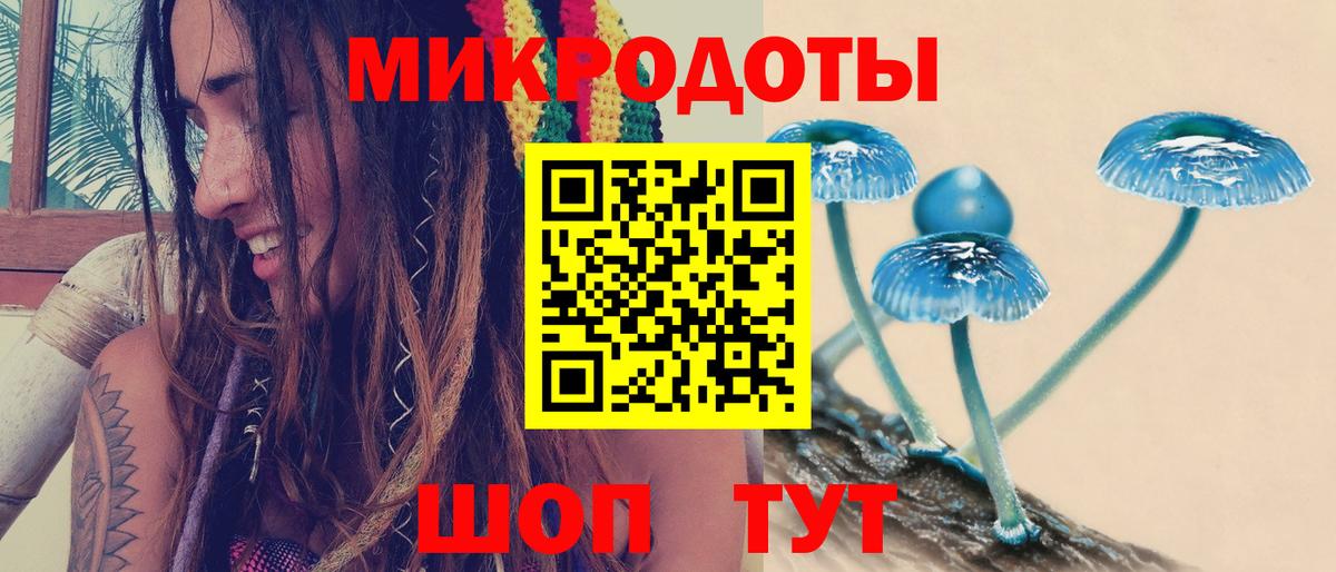 как найти закладки  Вход с VPN  Елизово  Галлюциногенные грибы мицелий 